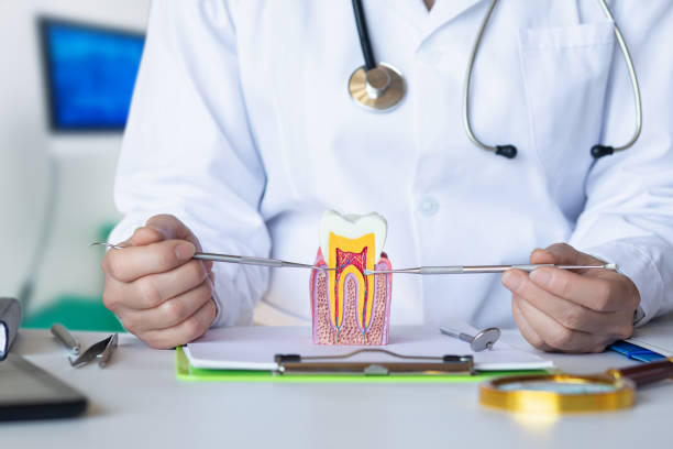Best Emergency Tooth Extraction in Clarence, IA